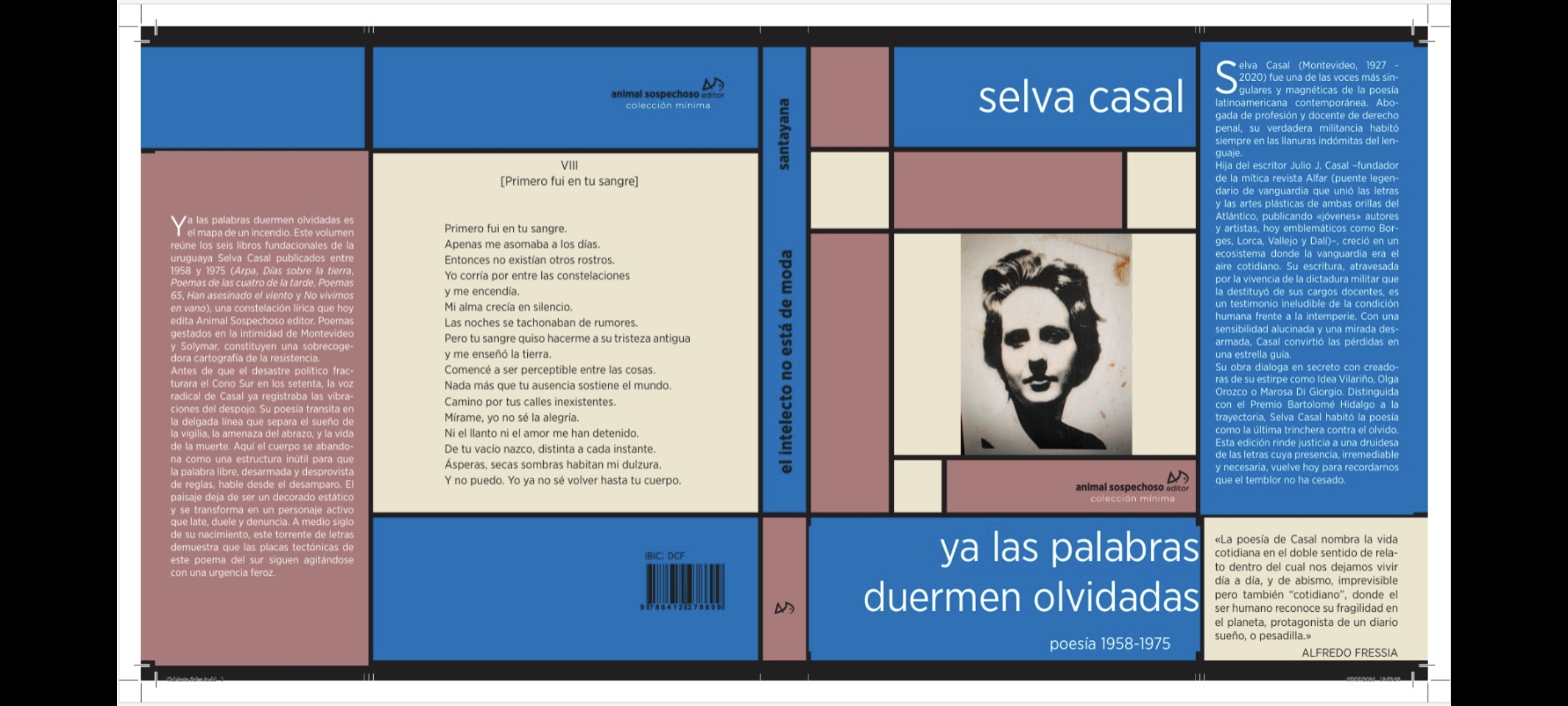 VI Festival Internacional de Poesía Animal Sospechoso - Homenaje a Selva Casal